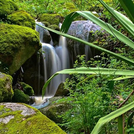 リゾート - Termal - By Unlock モンシケ